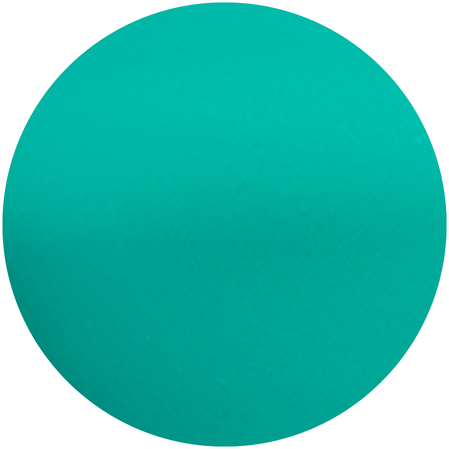 Tempera Plus Paint (2 Litre)