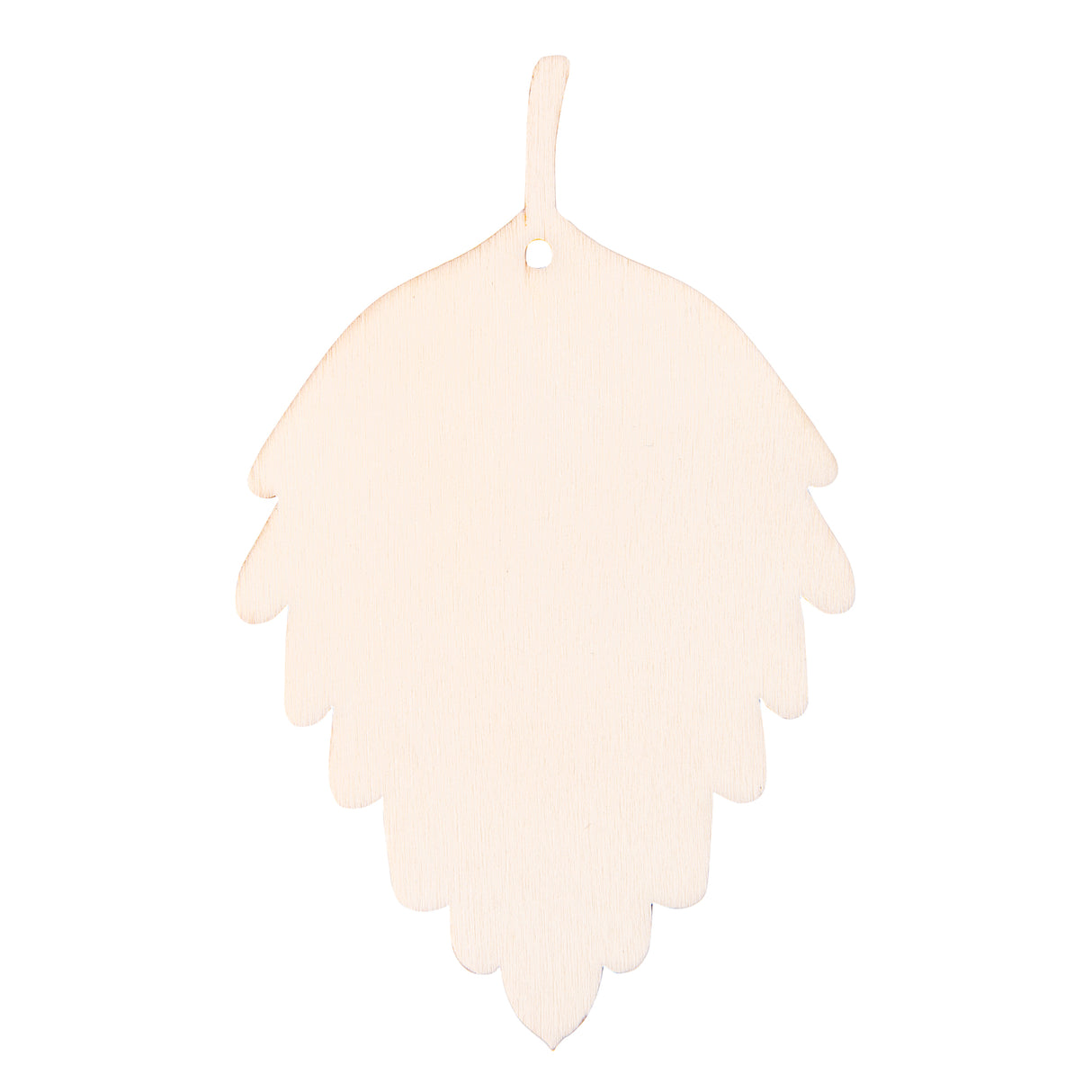 Zart Wooden Leaf Adornments Pack of 24 - Educational Vantage