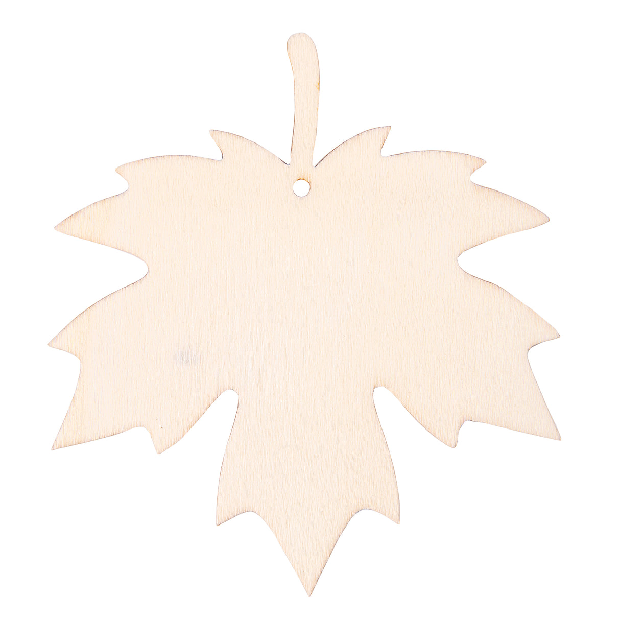 Zart Wooden Leaf Adornments Pack of 24 - Educational Vantage