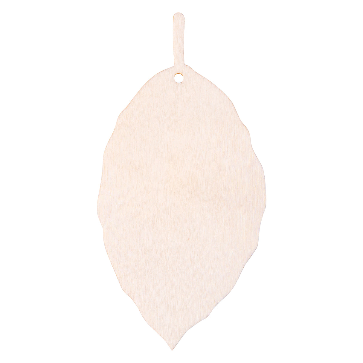 Zart Wooden Leaf Adornments Pack of 24 - Educational Vantage