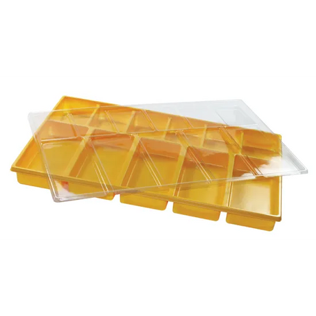 Money Tray - Educational Vantage