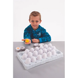 Chicken Life Cycle - Set of 21 Eggs - Educational Vantage