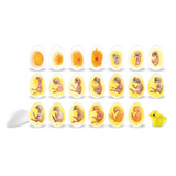 Chicken Life Cycle - Set of 21 Eggs - Educational Vantage