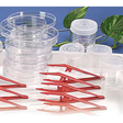 90 x 15 mm Petri Dishes - Pack of 100 - Educational Vantage