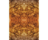 Pattern Paper A4 Animal Pack of 40 - Educational Vantage